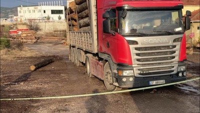 Üzerine tomruk düşen sürücü hayatını kaybetti