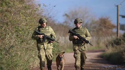 TSK'nın Üstün Yetenekli Köpekleri Mehmetçiğe Destek Oluyor