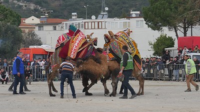 120 Devenin Yer Aldığı Güreşler Güre'de İlgiyle İzlendi
