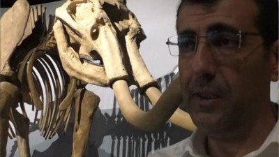 Dev mamut iskeleti görenleri hayrete düşürüyor