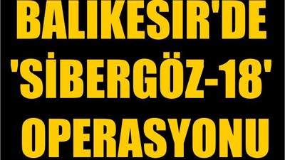 Balıkesir'de 'Sibergöz-18' Operasyonu