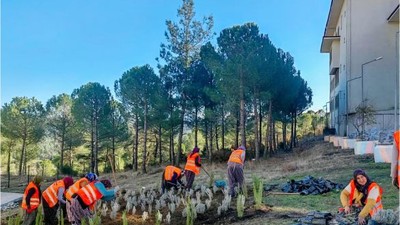 Balıkesir'de Yeşil Eğitim İçin Bin 303 Fidan Dikildi
