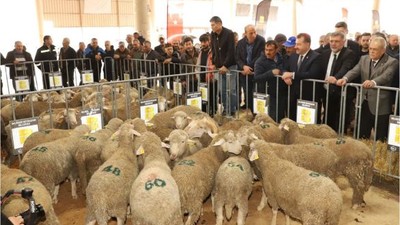 Balıkesir'de Yetiştiricilere Destek