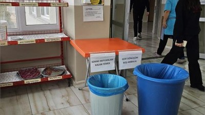 Balıkesirli Kantinci Sokak Hayvanlarının Hayatını Değiştirdi