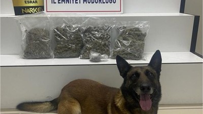 Dedektör Cash Kaputa İşaret Etti
