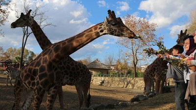 Hayvanat Bahçesi Karnesiyle Gelen Öğrencilere Ücretsiz