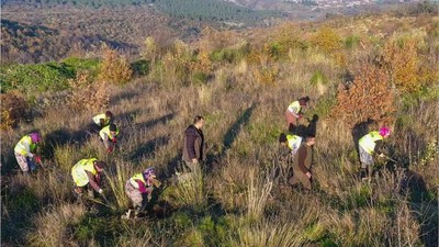 Balıkesir Ormanları Kadınlara Emanet
