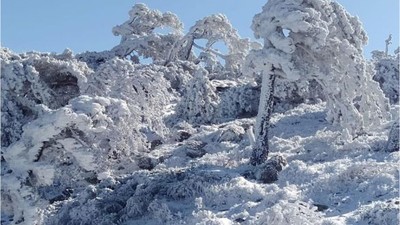 Kazdağları'nda Zirve Heyecanı