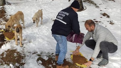 Kazdağları'ndaki Canlar Unutulmadı
