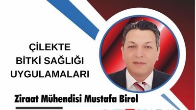 ÇİLEKTE BİTKİ SAĞLIĞI UYGULAMALARI