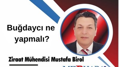 Buğdaycı ne yapmalı