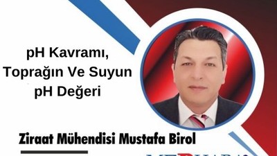 pH Kavramı, Toprağın Ve Suyun pH Değeri