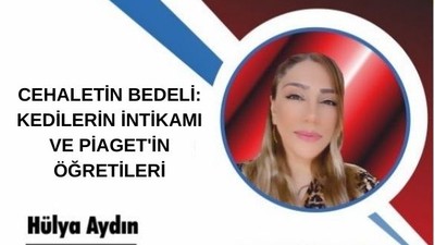 CEHALETİN BEDELİ: KEDİLERİN İNTİKAMI VE PİAGET'İN ÖĞRETİLERİ