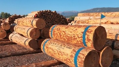 BİGADİÇ ORMAN İŞLETME MÜDÜRLÜĞÜ 2024 YILI ORMAN EMVALİ İSTİFLEME İŞİ