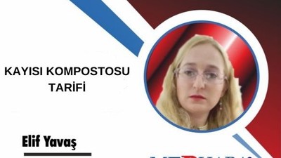 KAYISI KOMPOSTOSU