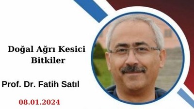 Doğal Ağrı Kesici Bitkiler