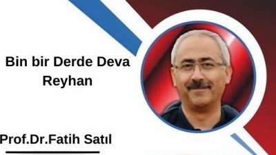 Bin bir Derde Deva Reyhan