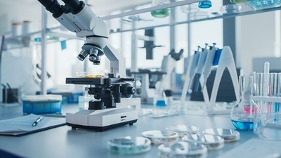 LABORATUVAR HİZMETİ ALINACAKTIR