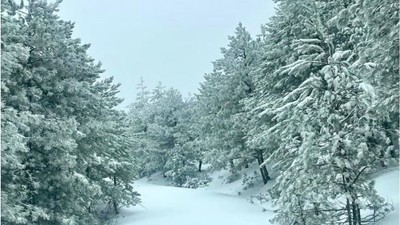 Sındırgı'dan Kar Manzaraları