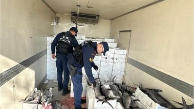 Su Ürünleri Kaçakçılığına Darbe