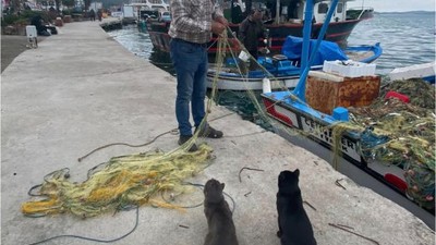 Balıkesir'de Balık Tutmanın Yolları