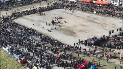 Geleneksel Deve Güreşleri Binlerce Seyirciyle Buluştu