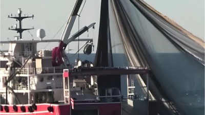 Hamside Yokluk Günleri Başladı