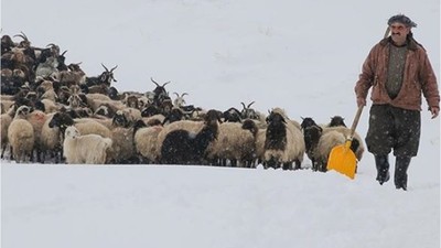kar, hayvanlarını köylere indiren besicilerin işini zorlaştırdı