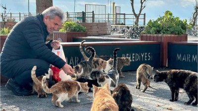 Soğuk Kış Günlerinde Sokak Hayvanları Unutulmadı