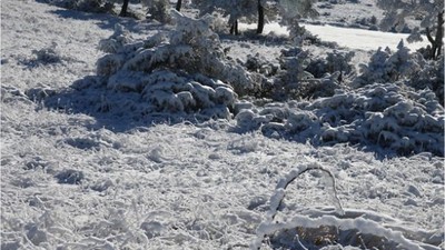 Tokat'ta yüksek kesimlerde kar kalınlığı 20 santimetreye ulaştı