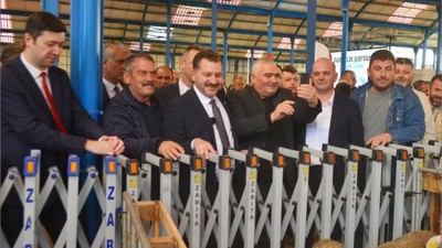 Büyükşehir Savaştepe’de Üreticiye Damızlık Koç Dağıttı