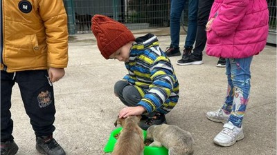 Dursunbey Barınağı Minik Misafirlerini Ağırladı