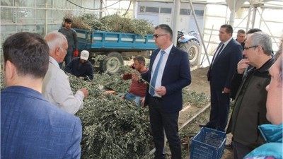 Balıkesir Tarımında Stratejik Adımlar