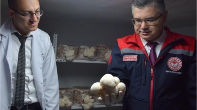 Evin Bodrumunda Başlayan Üretim Birçok Kişiye İlham Oldu