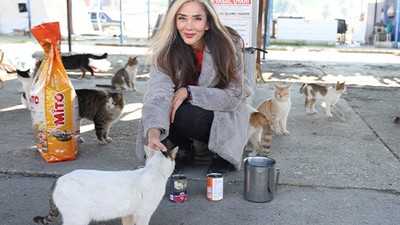 Fatma öğretmen, Hatay'da Sokak Hayvanlarına Umut Oluyor
