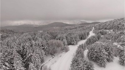 Kazdağı Milli Parkı'nda Kartpostallık Görüntüler