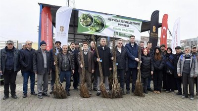 Manyas'ta 139 Bin Fidan Dağıtıldı