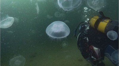 Marmara Denizinde Tehlike Çanları!