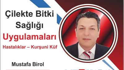 Çilekte Bitki Sağlığı Uygulamaları