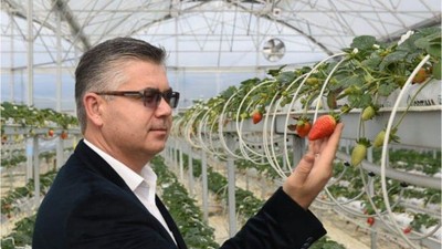Örtüaltı Tarımda Balıkesir Merkez Olma Yolunda