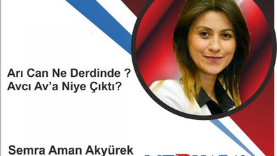 Arı Can Ne derdinde ? Avcı Av’a Niye Çıktı?