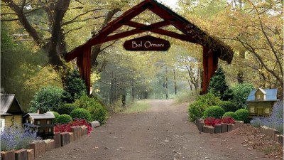 Türkiye'nin En Büyük Bal Ormanı Balıkesir'de
