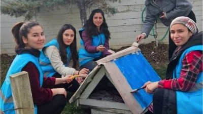 Balıkesir'in Sokak Hayvanlarına Ahşap Kulübe