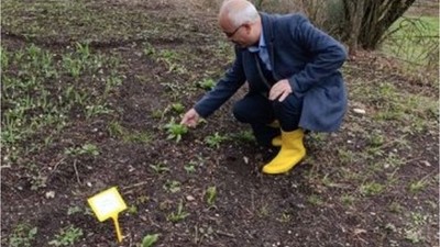 BAÜN Botanik Bahçesi Baharı Müjdeledi
