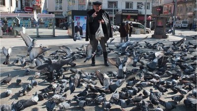 Burhaniye Meydanı Güvercinlerle Şenleniyor
