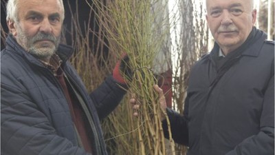 Dursunbey Üreticilerine 8 bin 500 Fidan Desteği