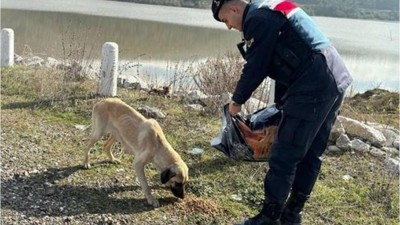 Jandarma 665 Sokak Hayvanına Destek Oldu