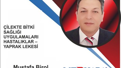 Yaprak lekesi