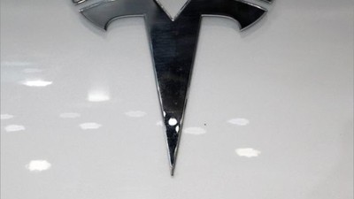 Tesla'ya bir Ceza Daha