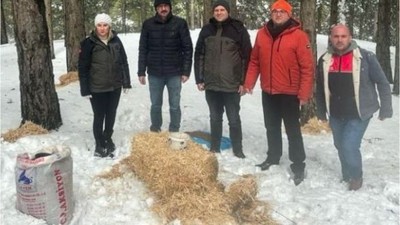 Kazdağları'nda Yaban Hayvanları İçin Yem Noktaları Oluşturuldu